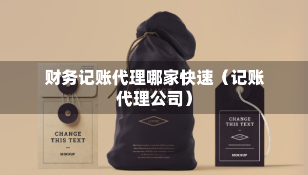 財(cái)務(wù)記賬代理哪家快速（記賬代理公司）