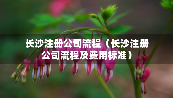 長沙注冊公司流程（長沙注冊公司流程及費(fèi)用標(biāo)準(zhǔn)）