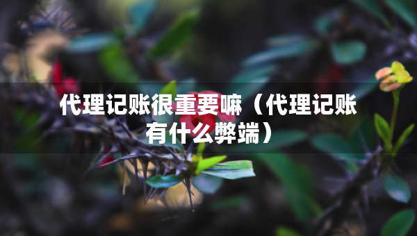 代理記賬很重要嘛（代理記賬有什么弊端）