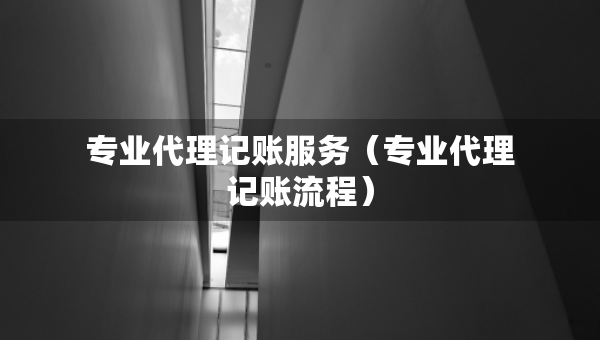 專業(yè)代理記賬服務(wù)（專業(yè)代理記賬流程）