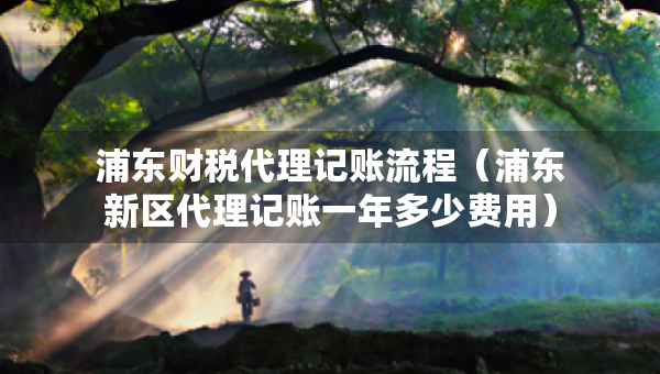 浦東財(cái)稅代理記賬流程（浦東新區(qū)代理記賬一年多少費(fèi)用）