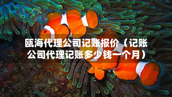 甌海代理公司記賬報價（記賬公司代理記賬多少錢一個月）