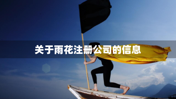 關(guān)于雨花注冊(cè)公司的信息