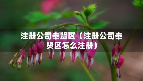 注冊公司奉賢區(qū)（注冊公司奉賢區(qū)怎么注冊）