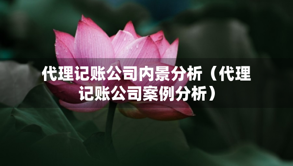 代理記賬公司內(nèi)景分析（代理記賬公司案例分析）