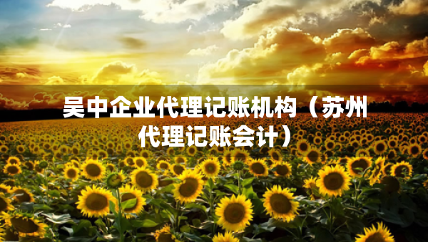 吳中企業(yè)代理記賬機構(gòu)（蘇州代理記賬會計）