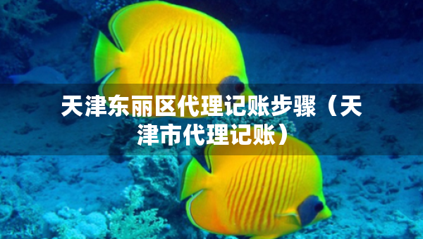 天津東麗區(qū)代理記賬步驟（天津市代理記賬）