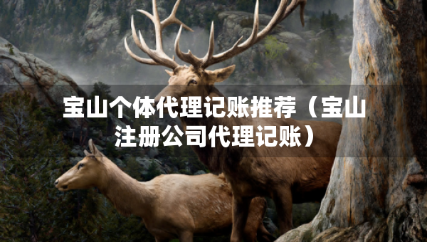 寶山個(gè)體代理記賬推薦（寶山注冊(cè)公司代理記賬）