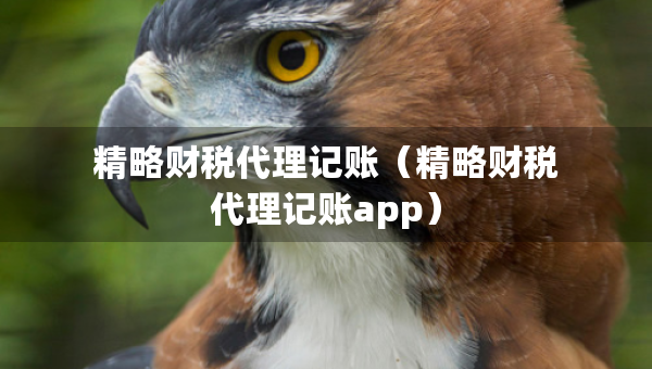 精略財(cái)稅代理記賬（精略財(cái)稅代理記賬app）