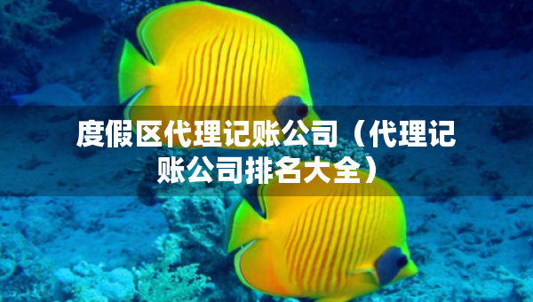 度假區(qū)代理記賬公司（代理記賬公司排名大全）