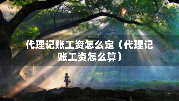 代理記賬工資怎么定（代理記賬工資怎么算）