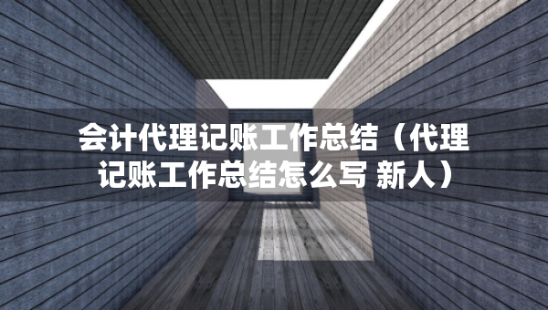 會(huì)計(jì)代理記賬工作總結(jié)（代理記賬工作總結(jié)怎么寫 新人）