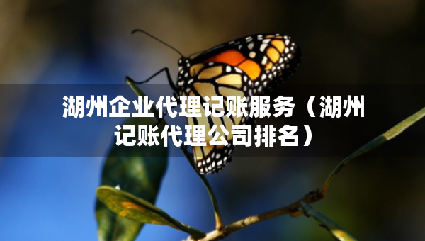 湖州企業(yè)代理記賬服務(wù)（湖州記賬代理公司排名）