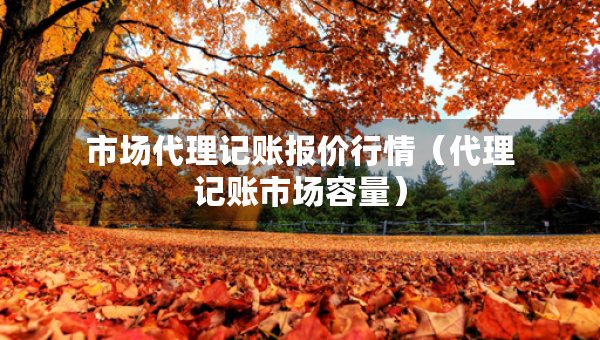 市場代理記賬報價行情（代理記賬市場容量）