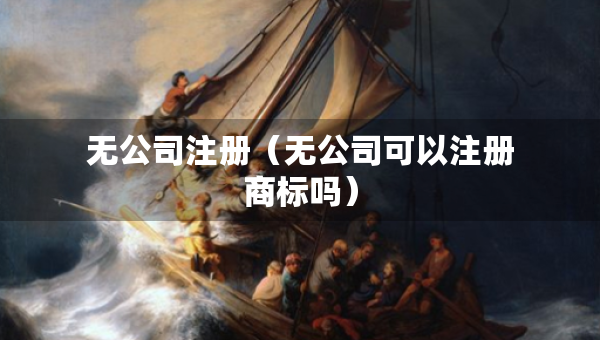 無公司注冊（無公司可以注冊商標(biāo)嗎）