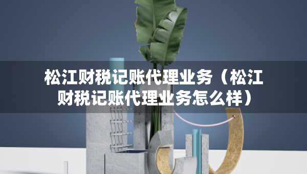 松江財(cái)稅記賬代理業(yè)務(wù)（松江財(cái)稅記賬代理業(yè)務(wù)怎么樣）
