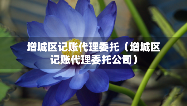 增城區(qū)記賬代理委托（增城區(qū)記賬代理委托公司）