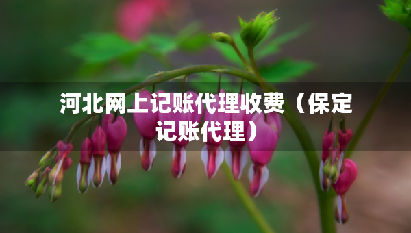 河北網(wǎng)上記賬代理收費(fèi)（保定記賬代理）