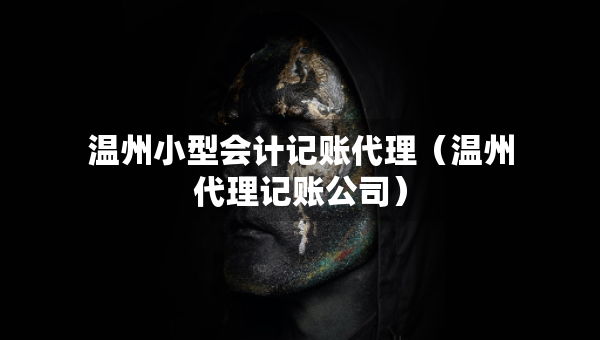 溫州小型會計記賬代理（溫州代理記賬公司）