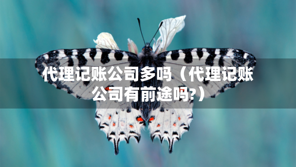 代理記賬公司多嗎（代理記賬公司有前途嗎?）