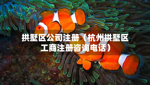 拱墅區(qū)公司注冊（杭州拱墅區(qū)工商注冊咨詢電話）