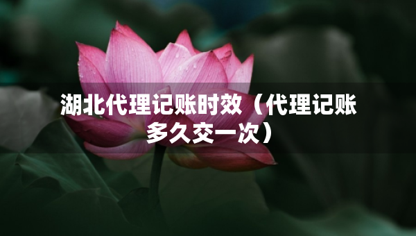 湖北代理記賬時效（代理記賬多久交一次）