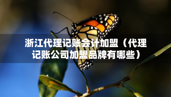 浙江代理記賬會計加盟（代理記賬公司加盟品牌有哪些）