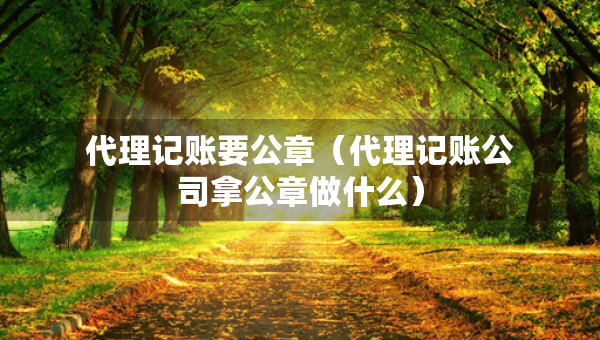 代理記賬要公章（代理記賬公司拿公章做什么）