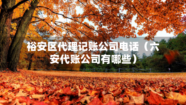 裕安區(qū)代理記賬公司電話（六安代賬公司有哪些）