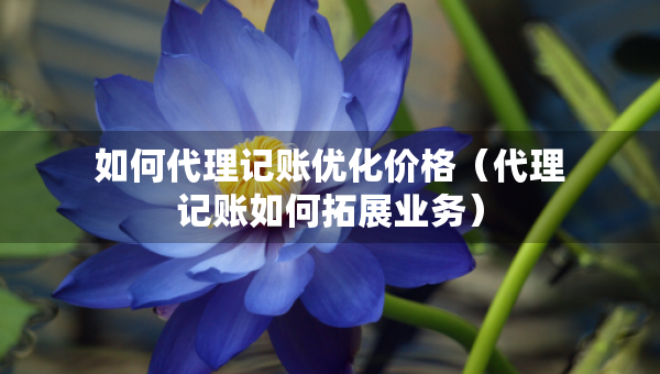 如何代理記賬優(yōu)化價(jià)格（代理記賬如何拓展業(yè)務(wù)）