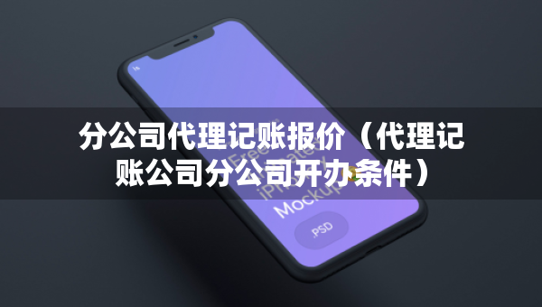 分公司代理記賬報價（代理記賬公司分公司開辦條件）