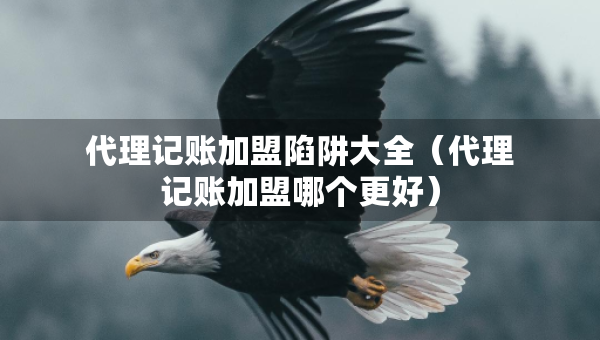 代理記賬加盟陷阱大全（代理記賬加盟哪個(gè)更好）