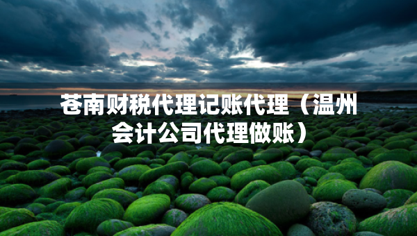 蒼南財稅代理記賬代理（溫州會計公司代理做賬）