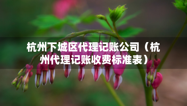 杭州下城區(qū)代理記賬公司（杭州代理記賬收費標準表）