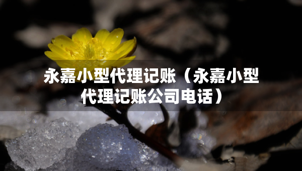 永嘉小型代理記賬（永嘉小型代理記賬公司電話(huà)）
