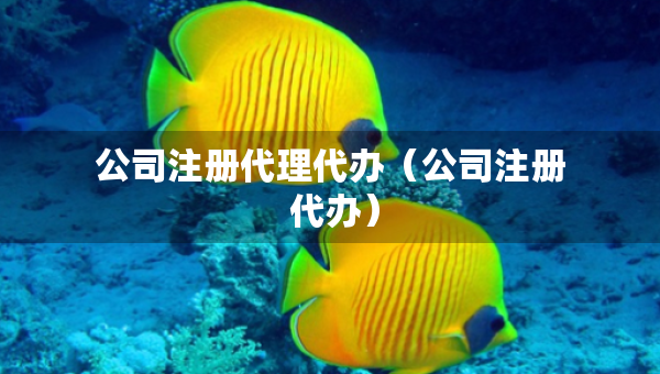 公司注冊代理代辦（公司注冊 代辦）