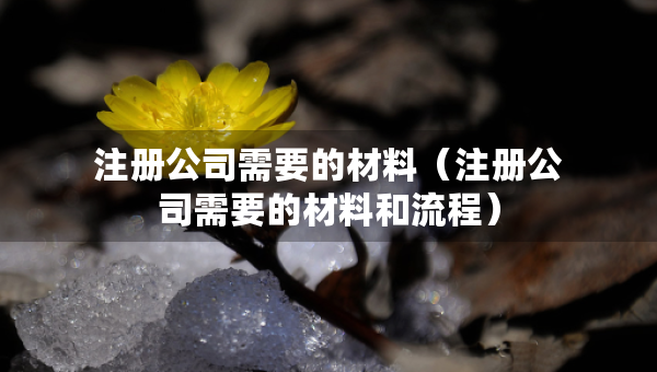 注冊(cè)公司需要的材料（注冊(cè)公司需要的材料和流程）
