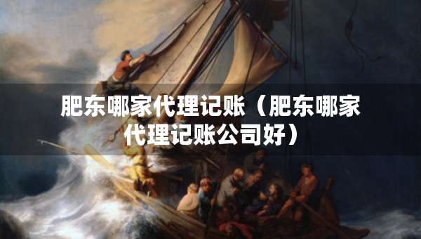肥東哪家代理記賬（肥東哪家代理記賬公司好）