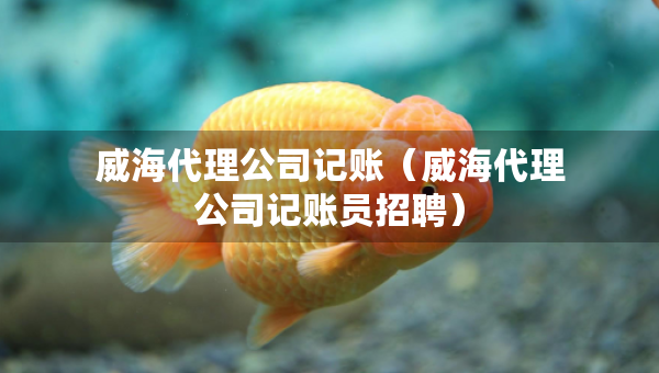 威海代理公司記賬（威海代理公司記賬員招聘）