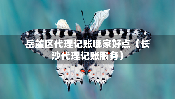 岳麓區(qū)代理記賬哪家好點(diǎn)（長沙代理記賬服務(wù)）