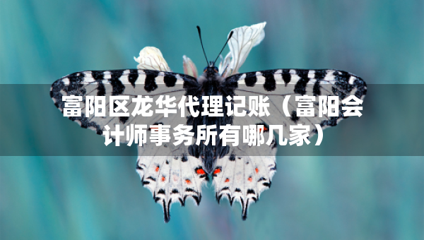 富陽(yáng)區(qū)龍華代理記賬（富陽(yáng)會(huì)計(jì)師事務(wù)所有哪幾家）
