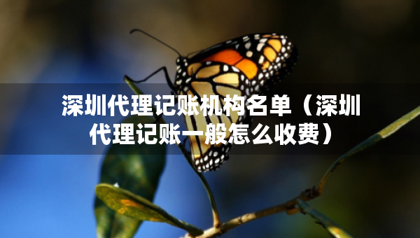 深圳代理記賬機構(gòu)名單（深圳代理記賬一般怎么收費）