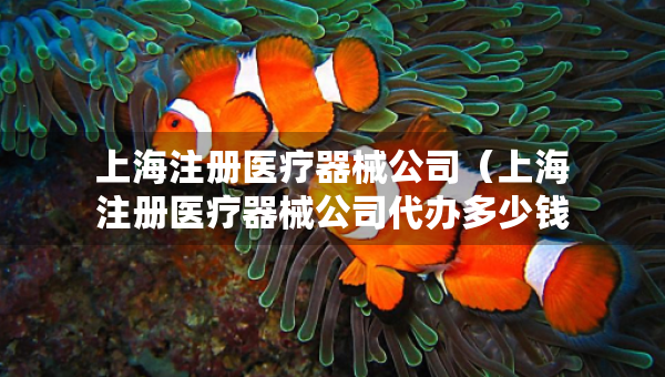 上海注冊(cè)醫(yī)療器械公司（上海注冊(cè)醫(yī)療器械公司代辦多少錢）