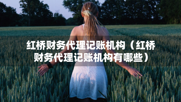 紅橋財(cái)務(wù)代理記賬機(jī)構(gòu)（紅橋財(cái)務(wù)代理記賬機(jī)構(gòu)有哪些）