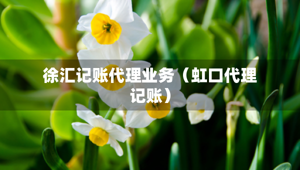 徐匯記賬代理業(yè)務(wù)（虹口代理記賬）