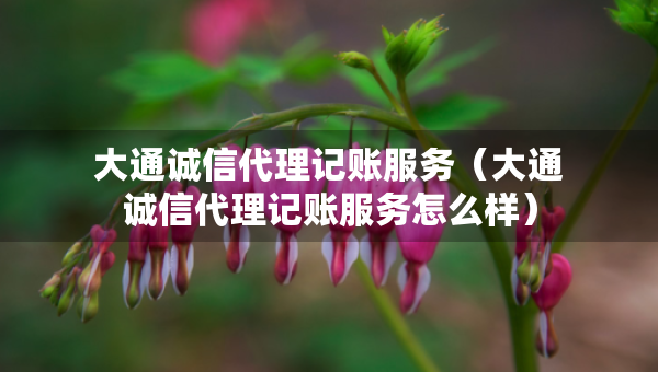 大通誠信代理記賬服務(wù)（大通誠信代理記賬服務(wù)怎么樣）