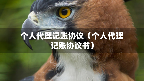 個人代理記賬協(xié)議（個人代理記賬協(xié)議書）
