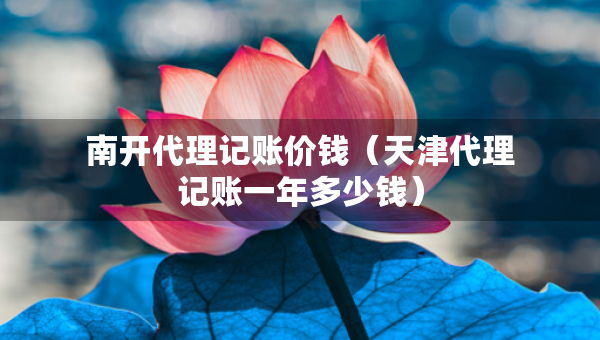 南開代理記賬價(jià)錢（天津代理記賬一年多少錢）