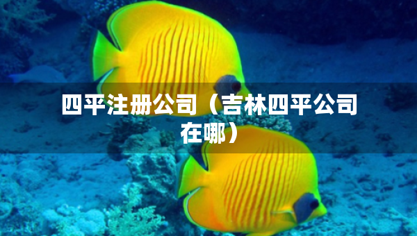 四平注冊公司（吉林四平公司在哪）