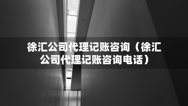 徐匯公司代理記賬咨詢（徐匯公司代理記賬咨詢電話）